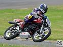 coyotes-2014-solo_4657