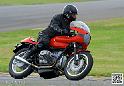 coyotes-2014-solo_4661