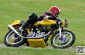 coyotes-2014-solo_4676