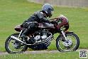 coyotes-2014-solo_4682