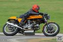 coyotes-2014-solo_4790