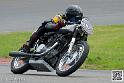 coyotes-2014-solo_4804