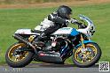 coyotes-2014-solo_4845