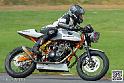 coyotes-2014-solo_4868