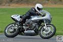 coyotes-2014-solo_4881