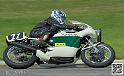 coyotes-2014-solo_4886