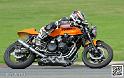 coyotes-2014-solo_4887