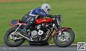 coyotes-2014-solo_4892