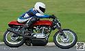 coyotes-2014-solo_4899