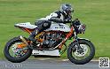 coyotes-2014-solo_4900