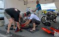 coyotes-2014-stands_4915