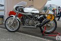 coyotes-2014-stands_4928