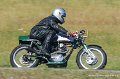 coyotes2005_1910