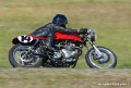 coyotes2005_1975
