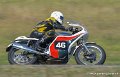 coyotes2005_1977