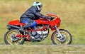 coyotes2005_1979