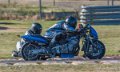 coyotes-2016-d750_4333
