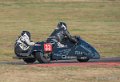 coyotes-2016-d750_4415