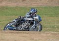 coyotes-2016-d750_4542
