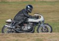coyotes-2016-d750_4577