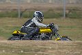 coyotes-2016-d750_4623
