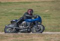 coyotes-2016-d750_4645