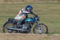coyotes-2016-d5_0379