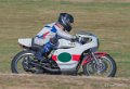 coyotes-2016-d5_0381