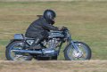 coyotes-2016-d5_0385