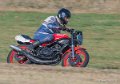 coyotes-2016-d5_0389
