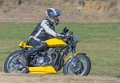 coyotes-2016-d5_0394