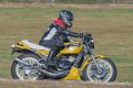 coyotes-2016-d5_0396