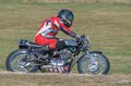 coyotes-2016-d5_0399