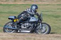 coyotes-2016-d5_0400