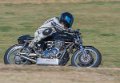 coyotes-2016-d5_0404
