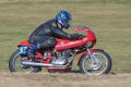 coyotes-2016-d5_0408