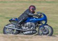 coyotes-2016-d5_0410