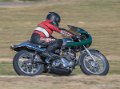 coyotes-2016-d5_0412