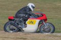 coyotes-2016-d5_0416