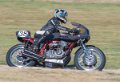 coyotes-2016-d5_0436