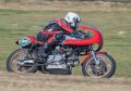 coyotes-2016-d5_0437