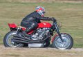 coyotes-2016-d5_0438