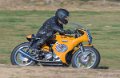 coyotes-2016-d5_0446