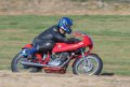 coyotes-2016-d5_0447