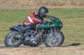 coyotes-2016-d5_0449