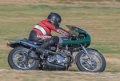 coyotes-2016-d5_0450