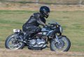 coyotes-2016-d5_0453