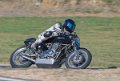 coyotes-2016-d5_0459
