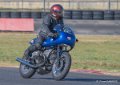 coyotes-2016-d5_0472