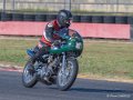 coyotes-2016-d5_0474